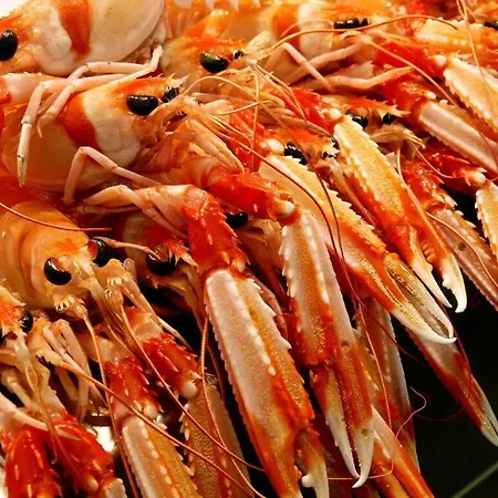 0569 Cortijo Olivos Chiclana de la Frontera